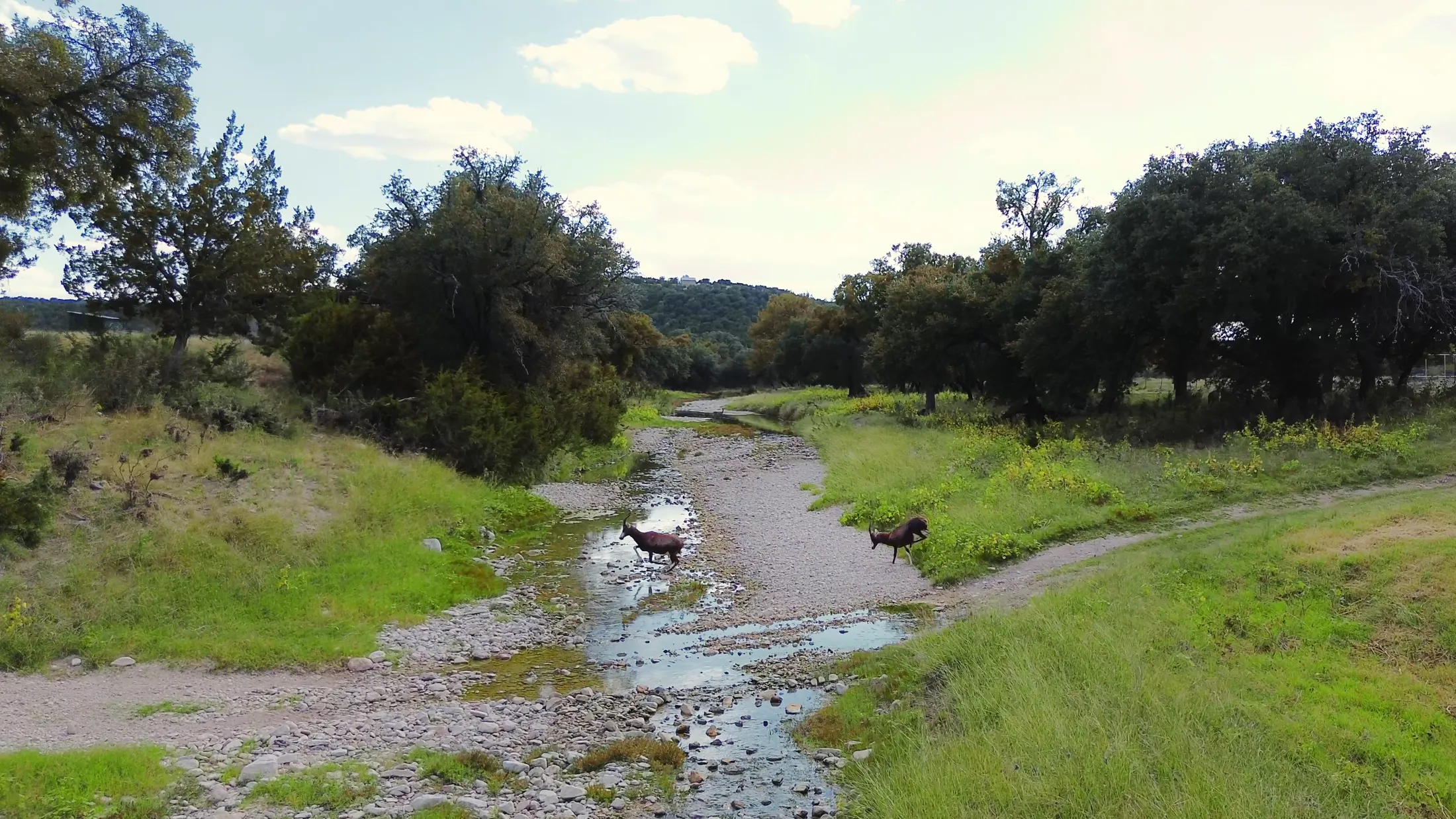 Creek running through the ranch